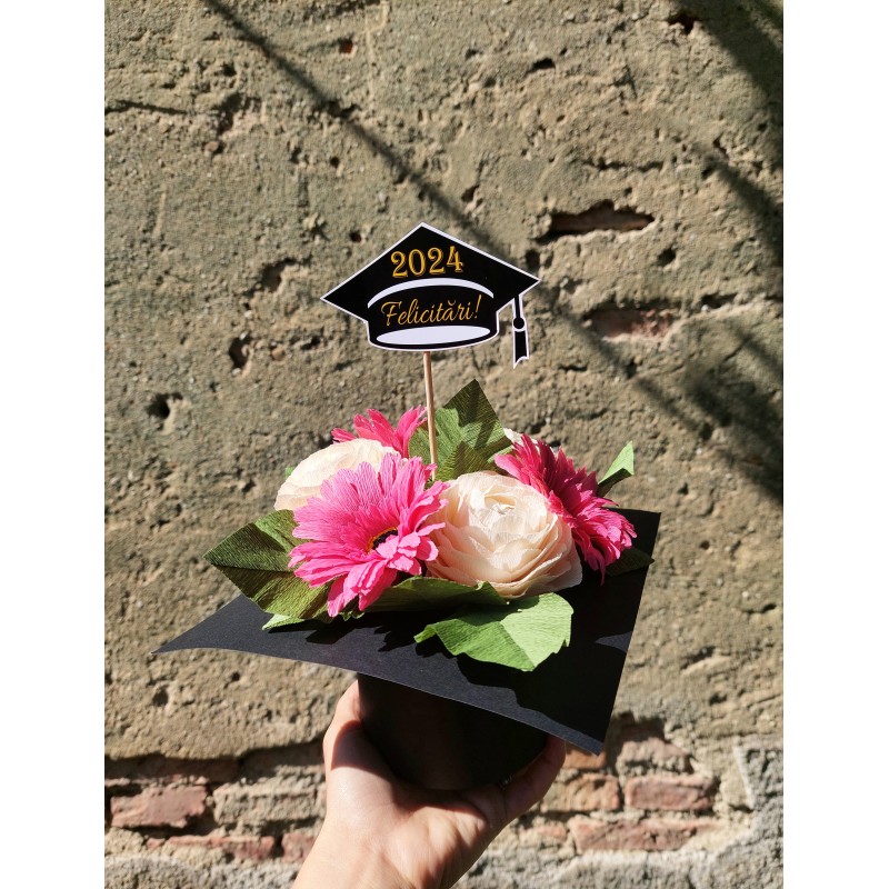 Toca absolvire -model 1 Toca absolvire -model 1