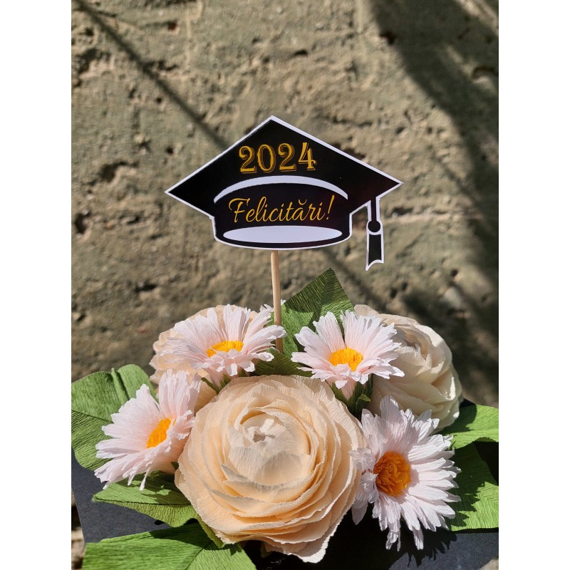 Toca absolvire -model 2 Toca absolvire -model 2