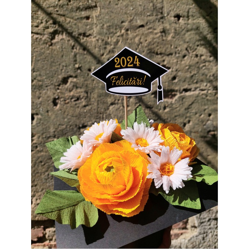 Toca absolvire - model 3 Toca absolvire - model 3