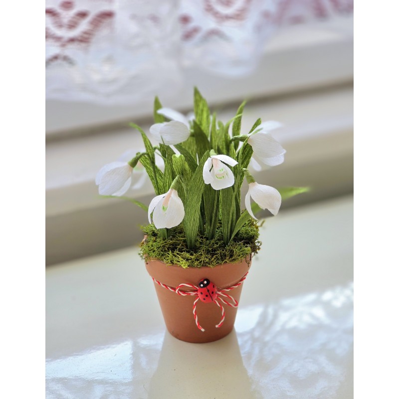 Mini ghiveci cu ghiocei