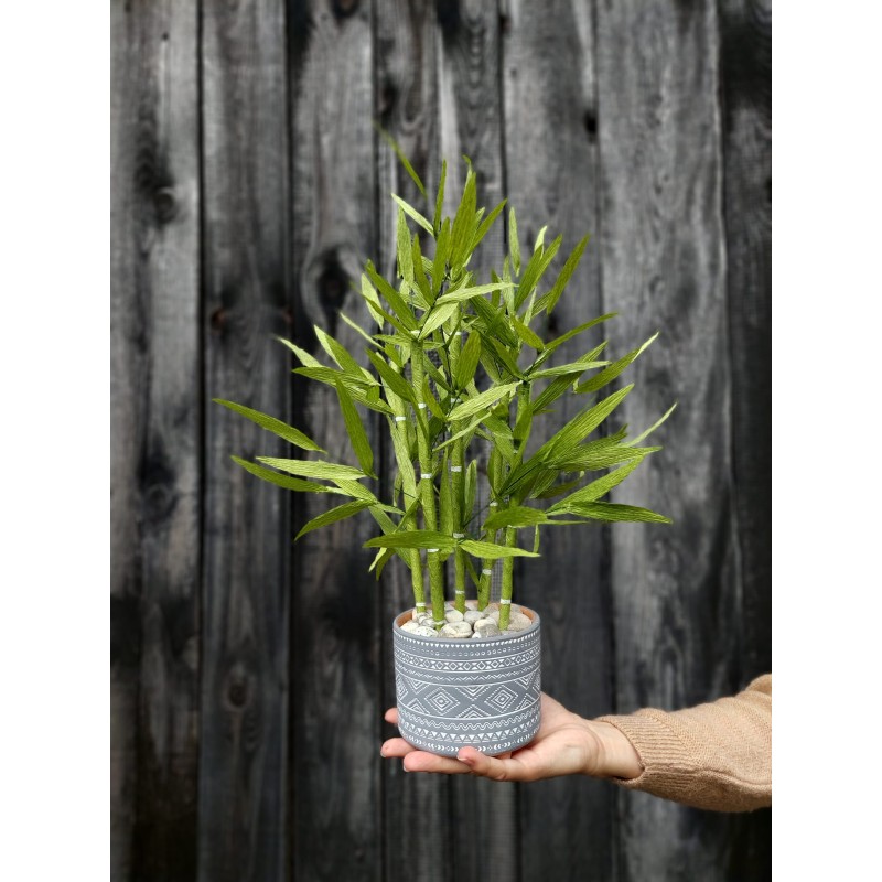 Bambus din hartie Bambus din hartie