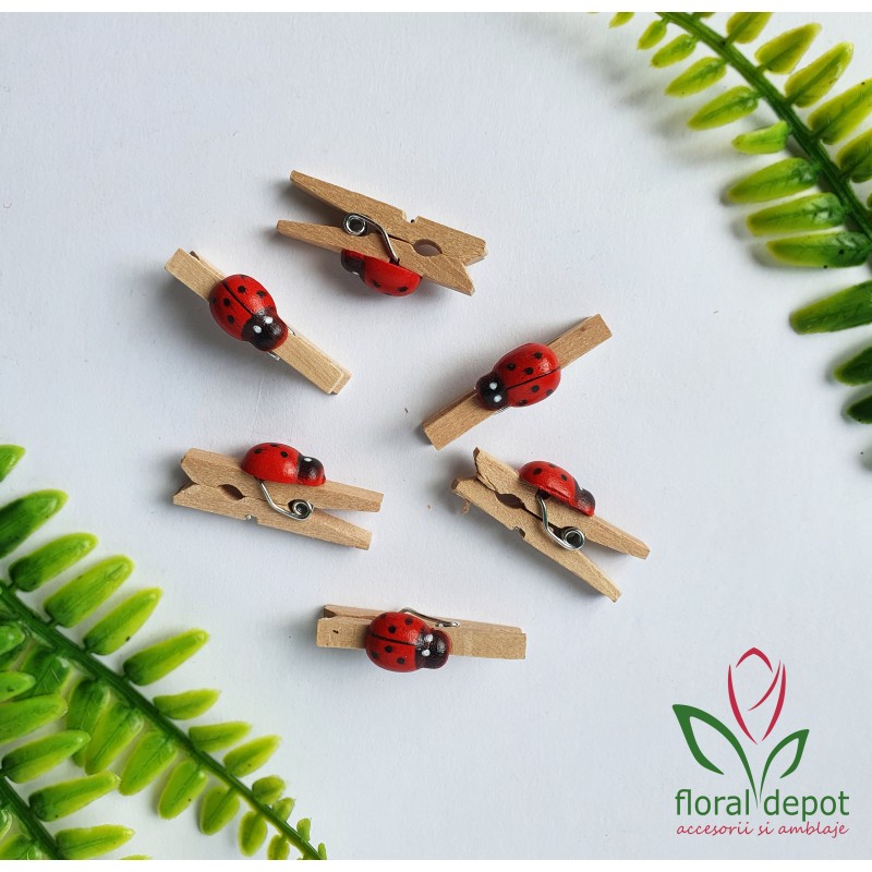 Set 6 cleme lemn cu buburuza Set 6 cleme lemn cu buburuza